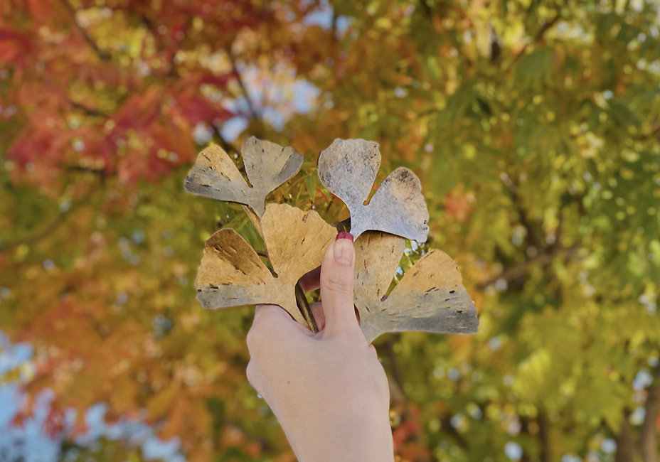 Autumn Elegance: Leaf-Inspired Fire Screens