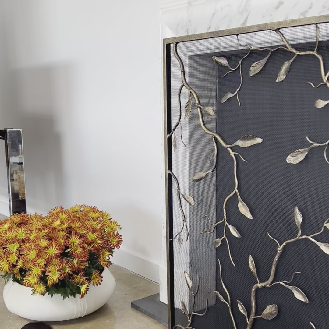 Load video: Lennox Fireplace Screen